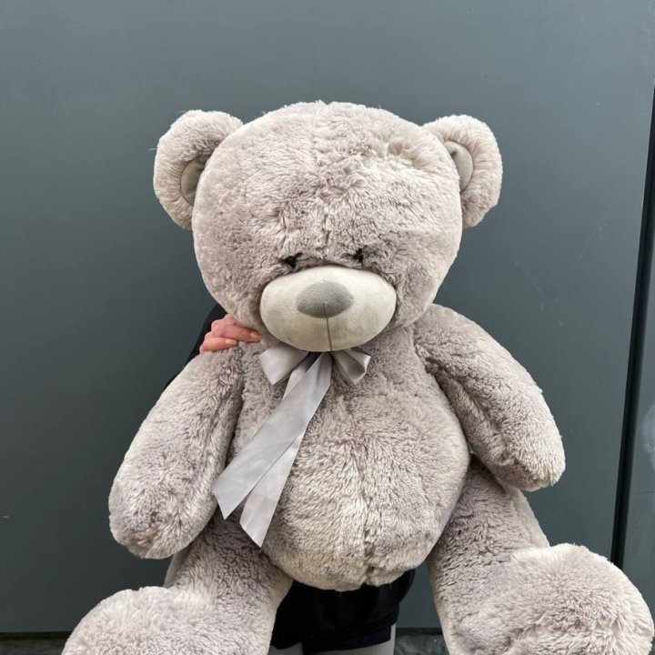 Плюшевый медведь №4 в Хосте и Кудепсте