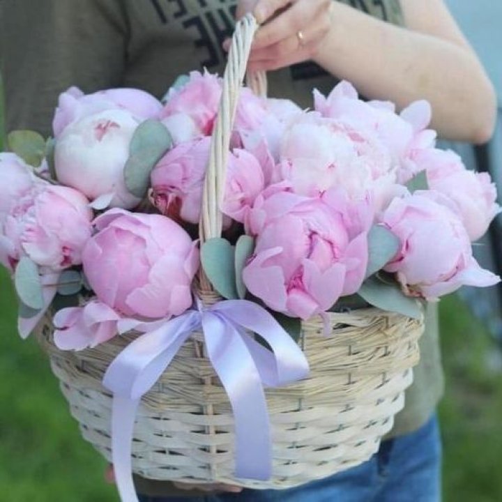 15 пионов в корзине в Хосте и Кудепсте