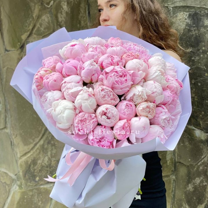 39 нежных пионов в Хосте и Кудепсте