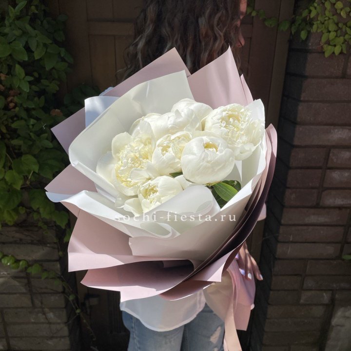 9 белоснежных пионов в Хосте и Кудепсте