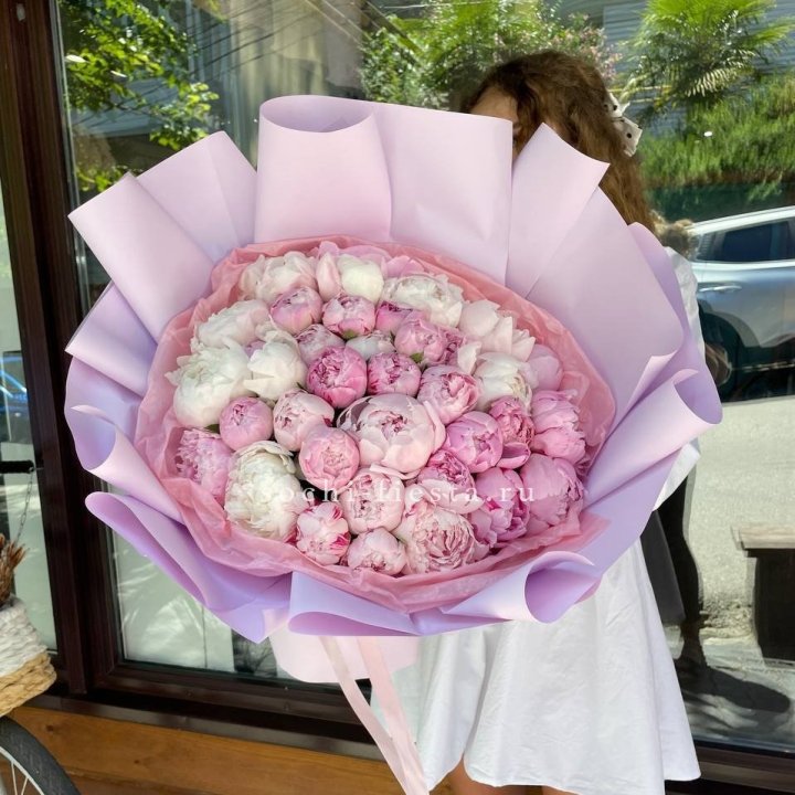 51 розовый пион в Хосте и Кудепсте