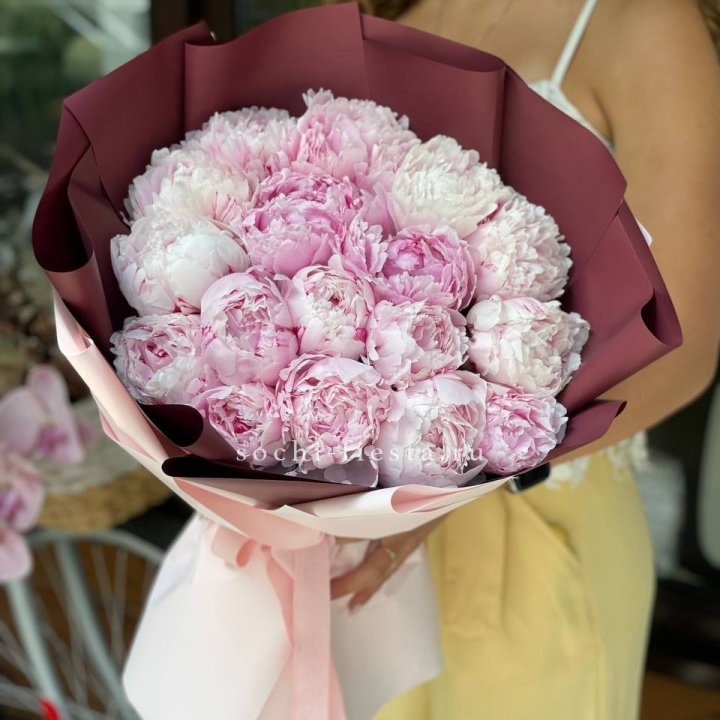 Букет 17 зефирных пионов в Хосте и Кудепсте