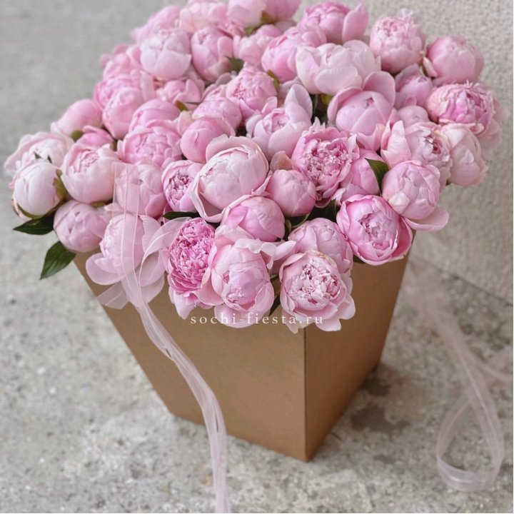 49 пионов в крафт коробке в Хосте и Кудепсте