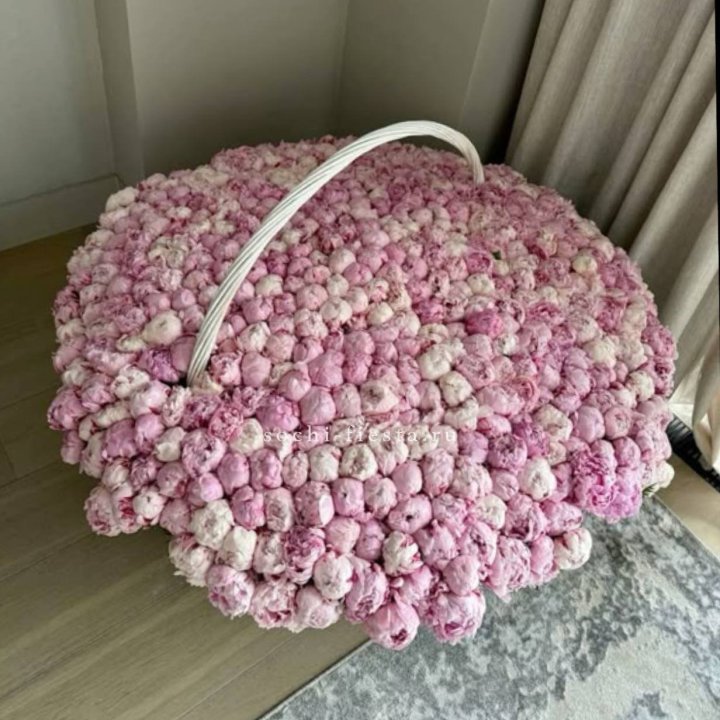 Корзина 555 пионов в Хосте и Кудепсте