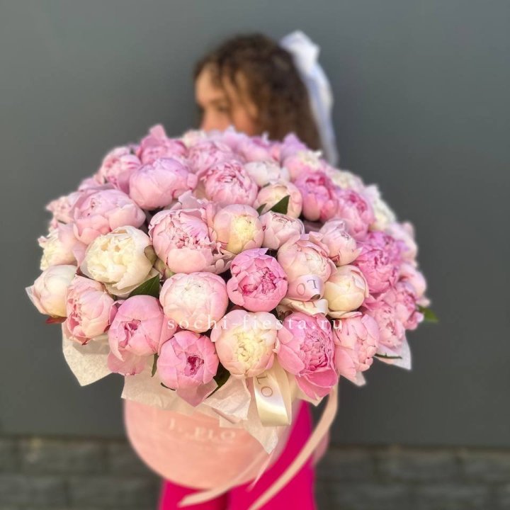 51 нежных пионов  в цилиндре в Хосте и Кудепсте