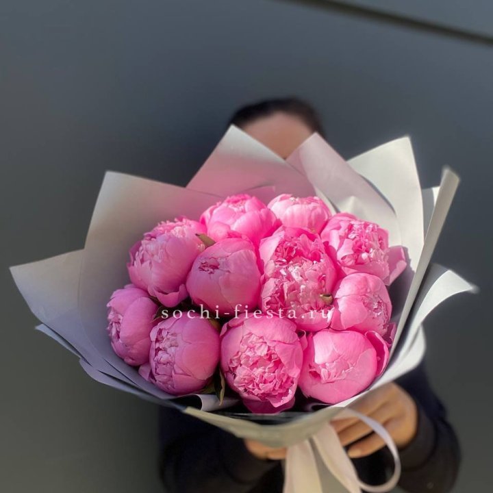 Пионы Alex Fleming в Хосте и Кудепсте