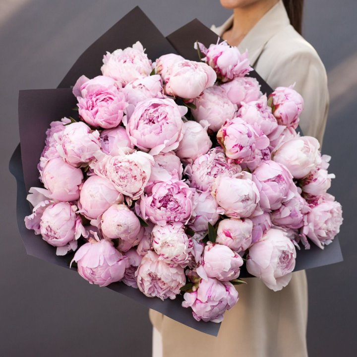 Пионы BLVCK в Хосте и Кудепсте