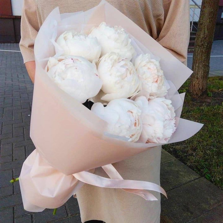 Букет белых пионов в Хосте и Кудепсте