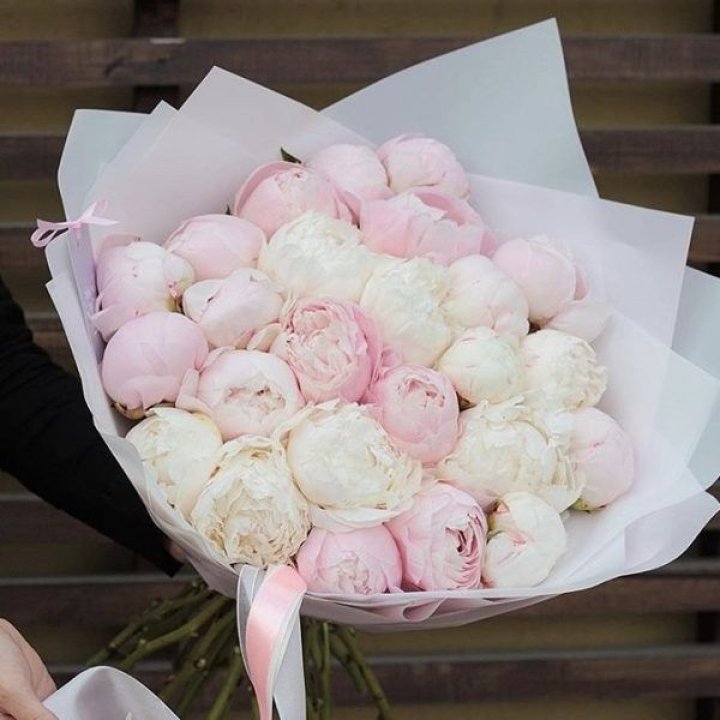 29 пионов в Хосте и Кудепсте