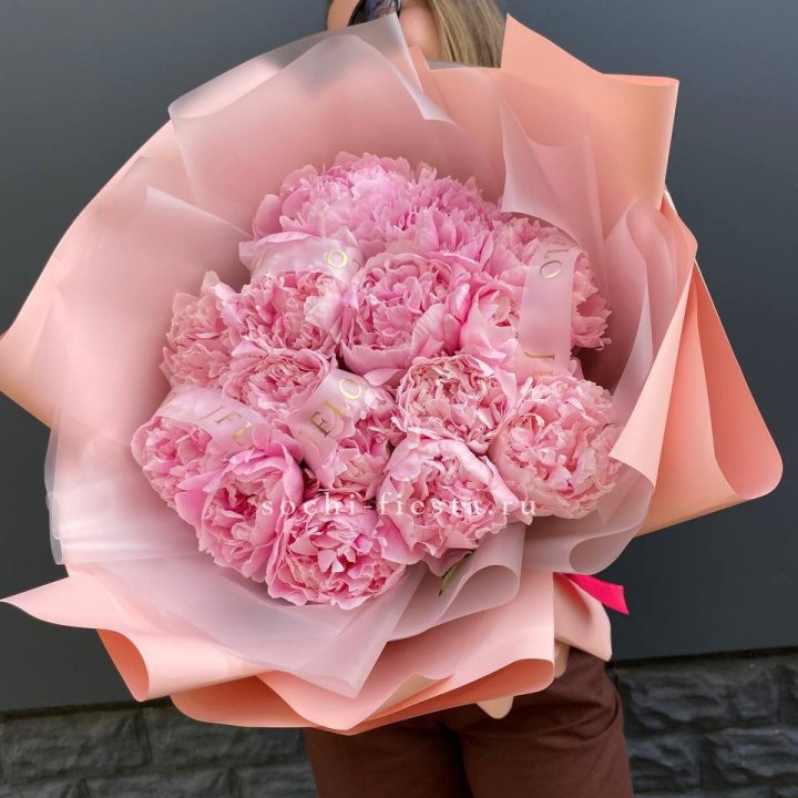 15 пионов "Morning" в Хосте и Кудепсте