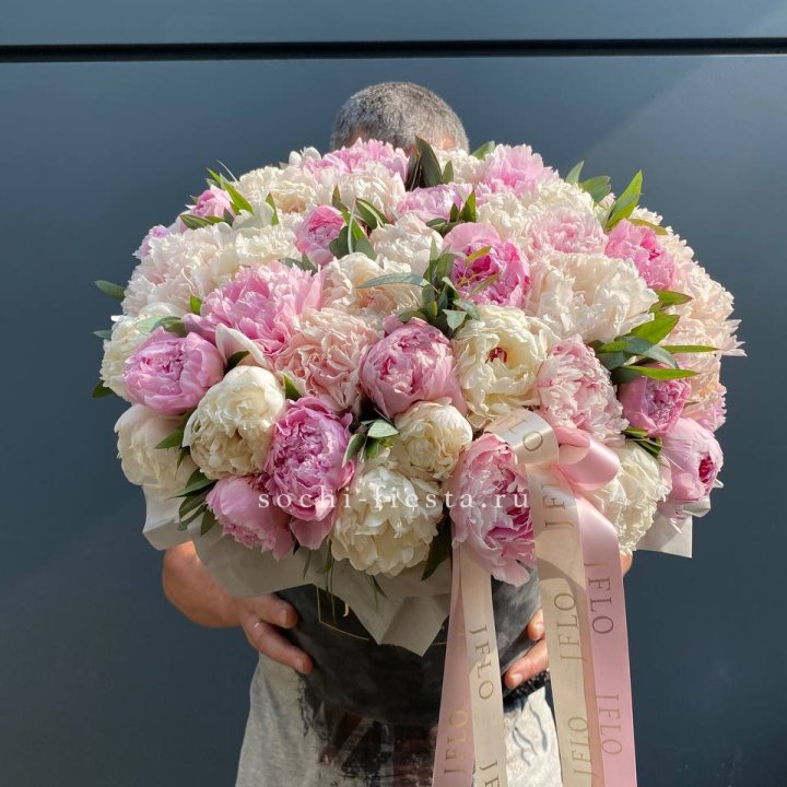 51 пионов в боксе в Хосте и Кудепсте