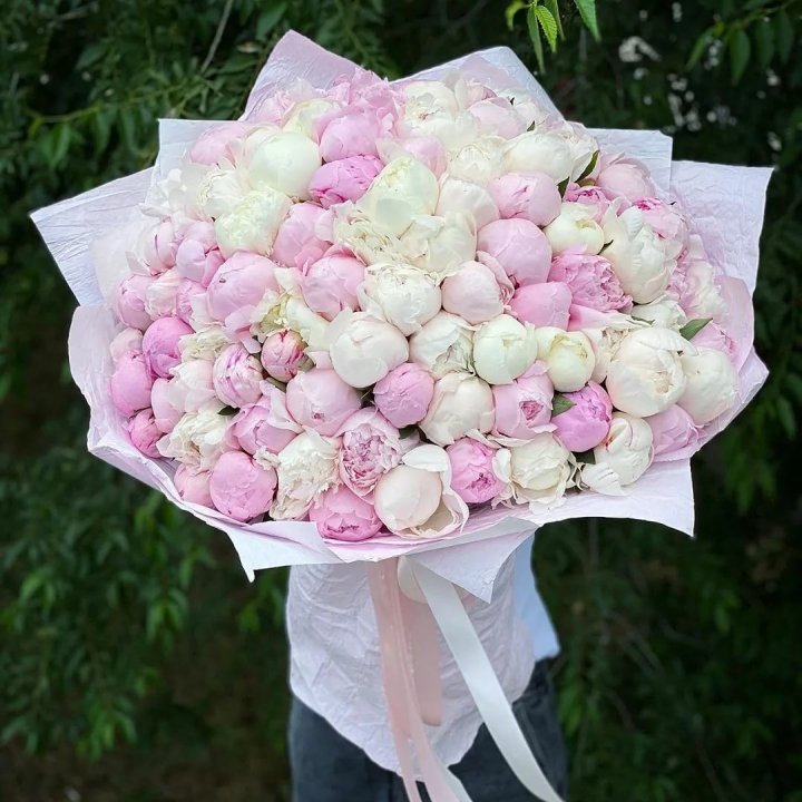 101 пион в Хосте и Кудепсте