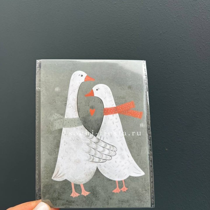 Открытка к букету "Гуси” в Хосте и Кудепсте