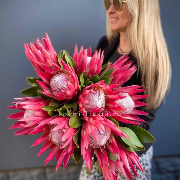 Протея штучно в Хосте и Кудепсте