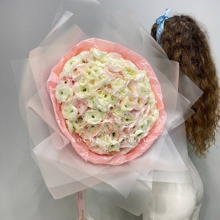 113 ранункулюсов  в Хосте и Кудепсте