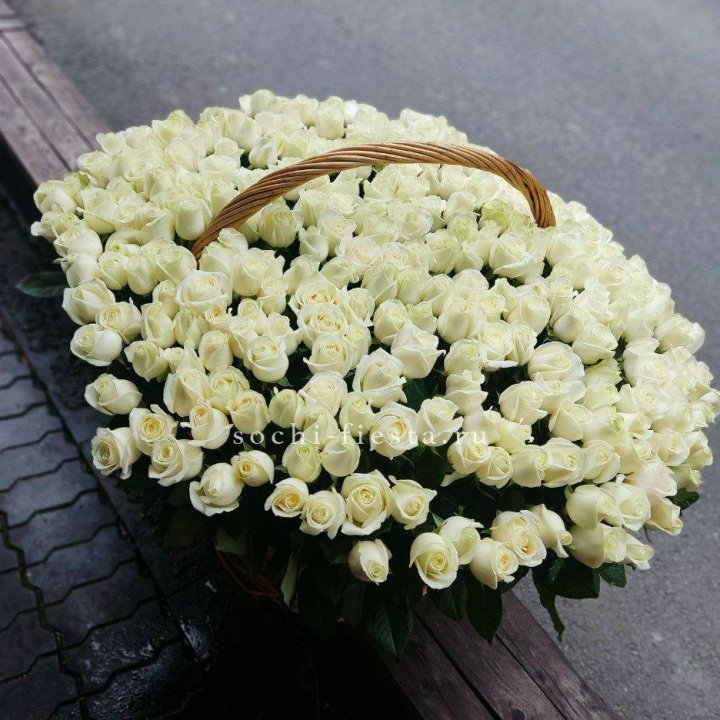 303 розы в корзине в Хосте и Кудепсте