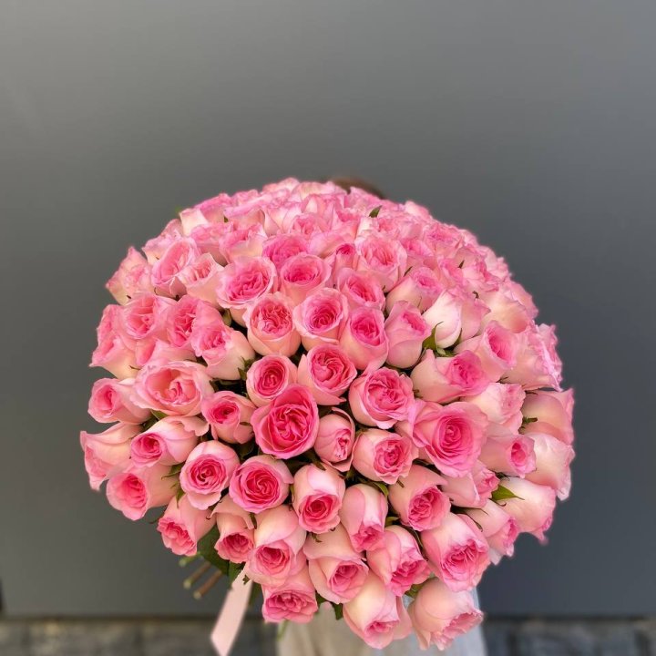 101 розовая роза в Хосте и Кудепсте