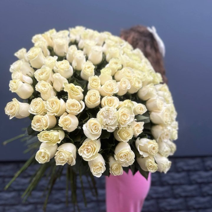 101 белая высокая импортная роза под ленту в Хосте и Кудепсте