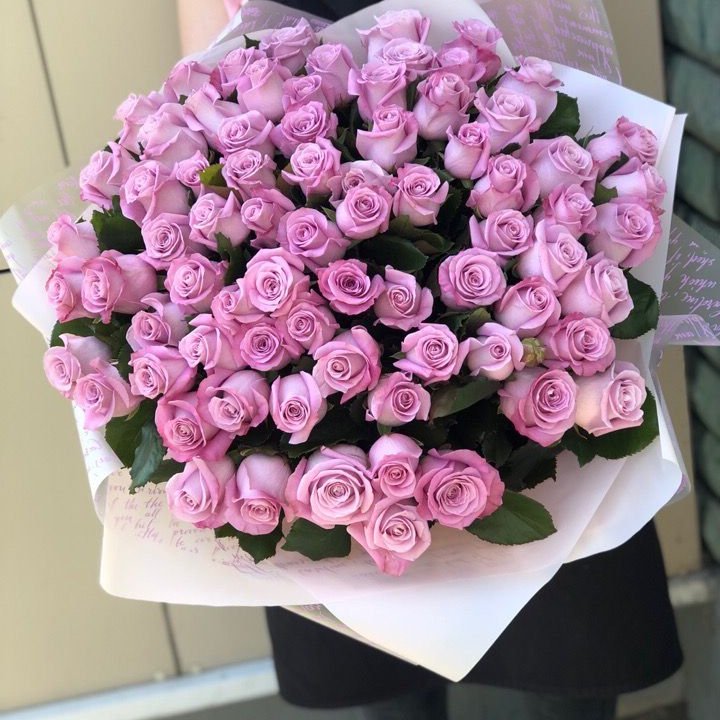 71 розовая роза "Маритим" в Хосте и Кудепсте