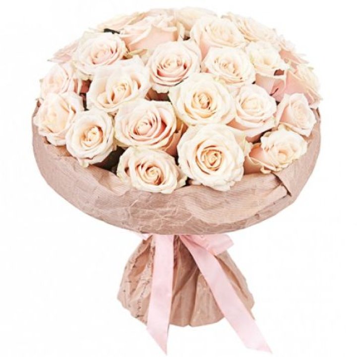 25 кремовых роз "Craft" в Хосте и Кудепсте