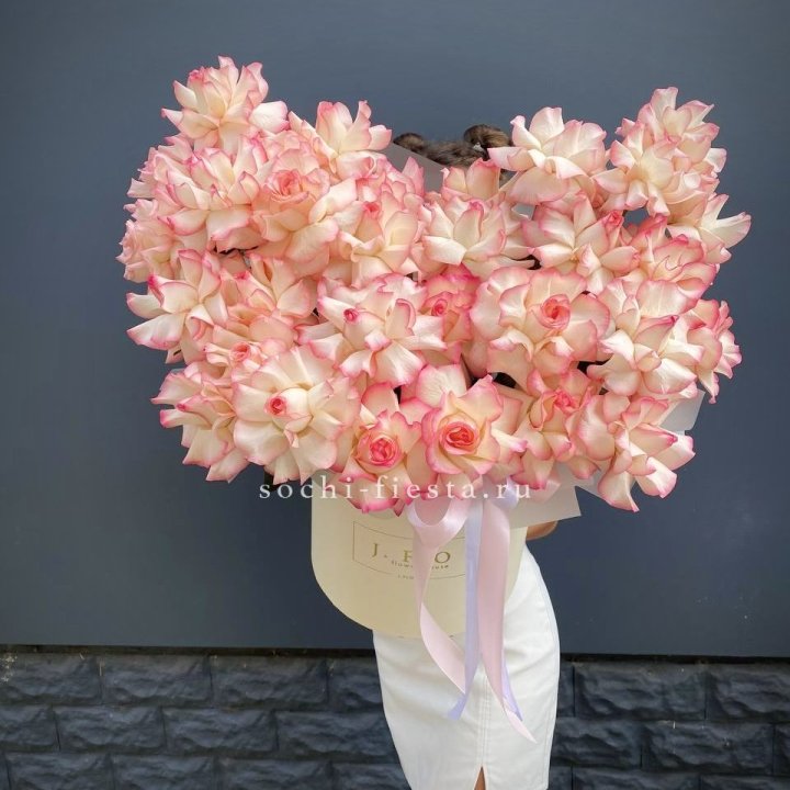 31 французская роза Джумилия в боксе в Хосте и Кудепсте