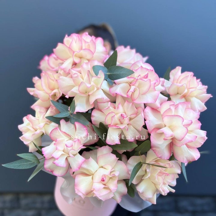 15 Французских роз Джумилия в боксе в Хосте и Кудепсте