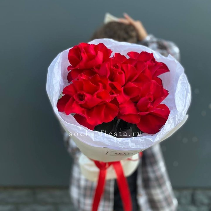 5 французских красных роз в Хосте и Кудепсте