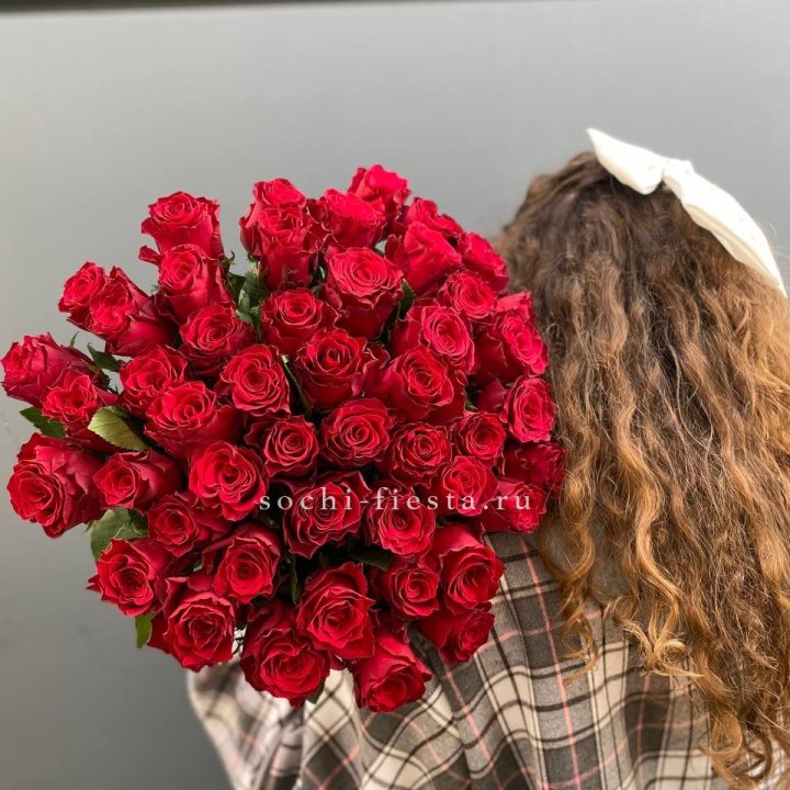51 красная роза в Хосте и Кудепсте