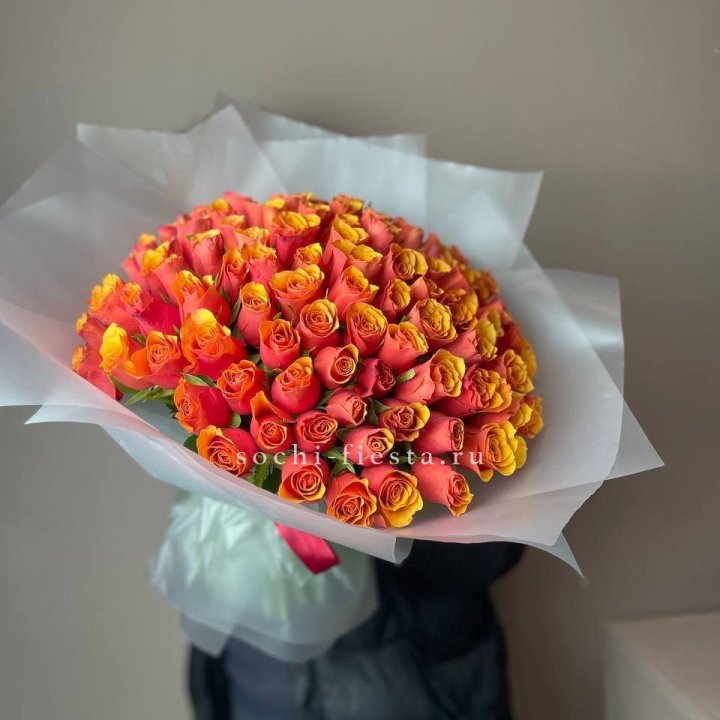 101 кенийская огненная роза  в Хосте и Кудепсте