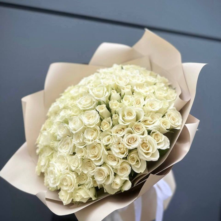 101 белая роза Athena в Хосте и Кудепсте