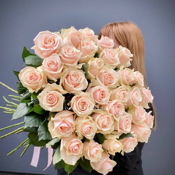 35 кремовых высоких роз в Хосте и Кудепсте