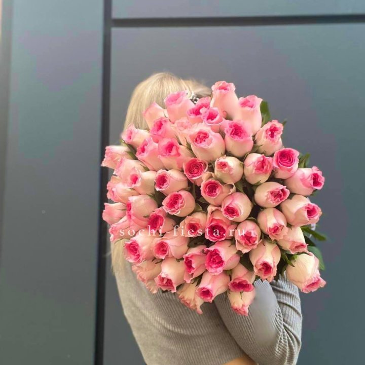 51 розовая роза в Хосте и Кудепсте