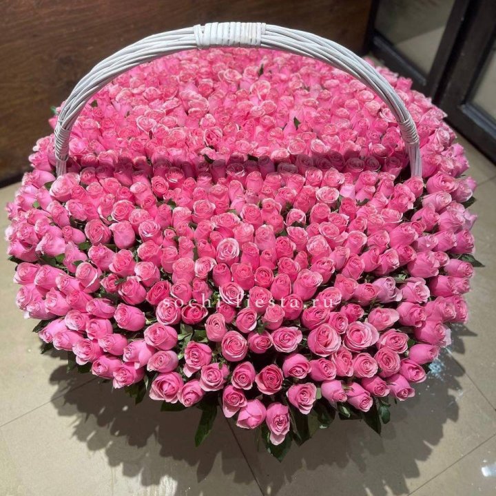501 розовая роза в Хосте и Кудепсте