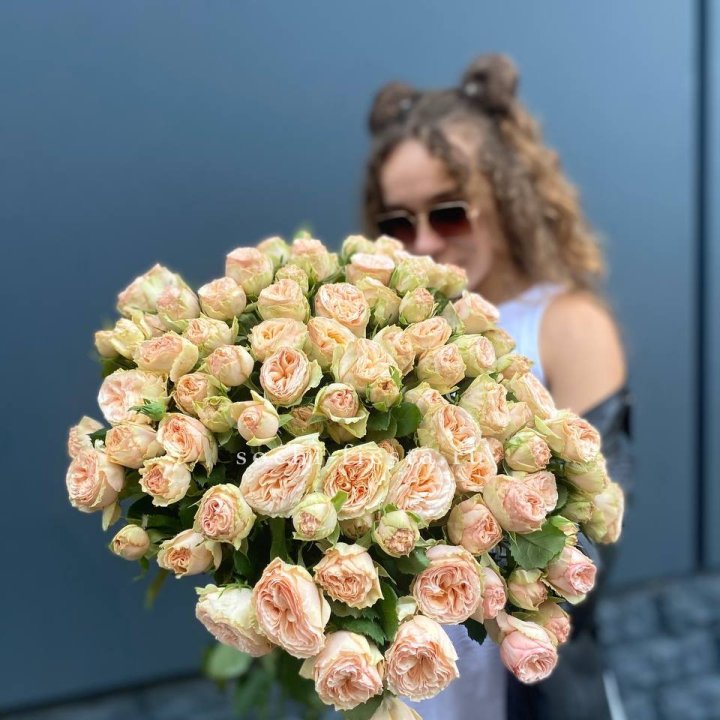 25 пионовидных роз в Хосте и Кудепсте