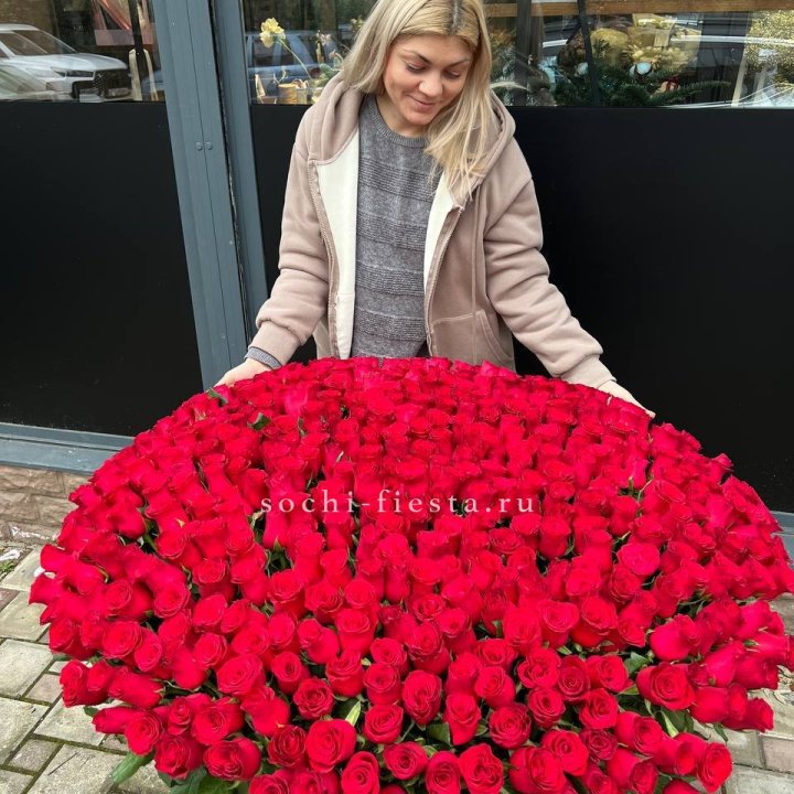 501 красная роза в корзине в Хосте и Кудепсте