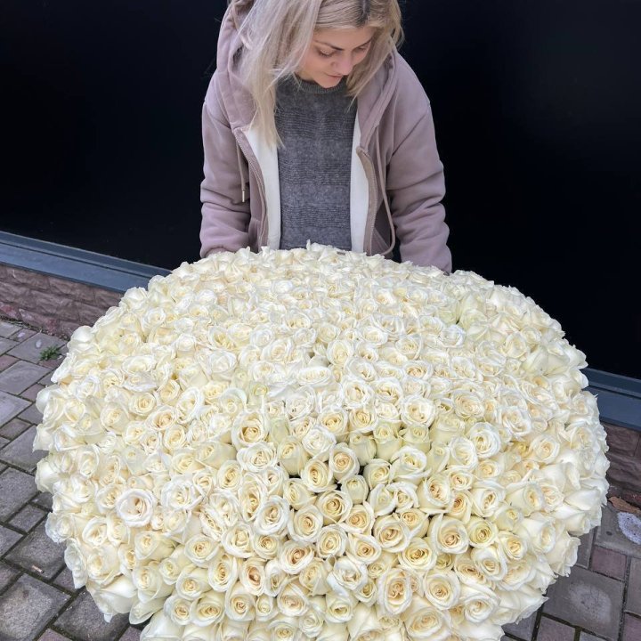 501 белая роза в корзине в Хосте и Кудепсте