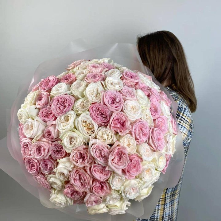 101 роз O"hara в Хосте и Кудепсте