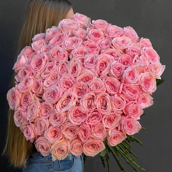 75 роз O"hara в Хосте и Кудепсте