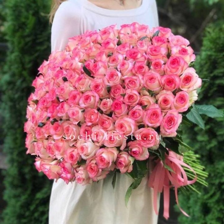 101  джумилия роза  в Хосте и Кудепсте