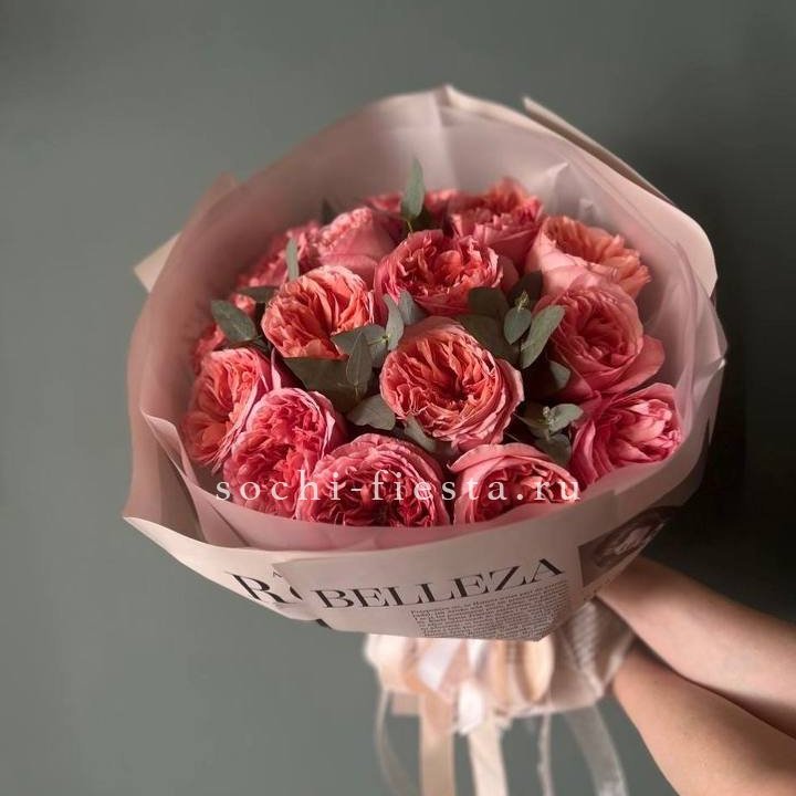 15  Pink X-Pression  в Хосте и Кудепсте