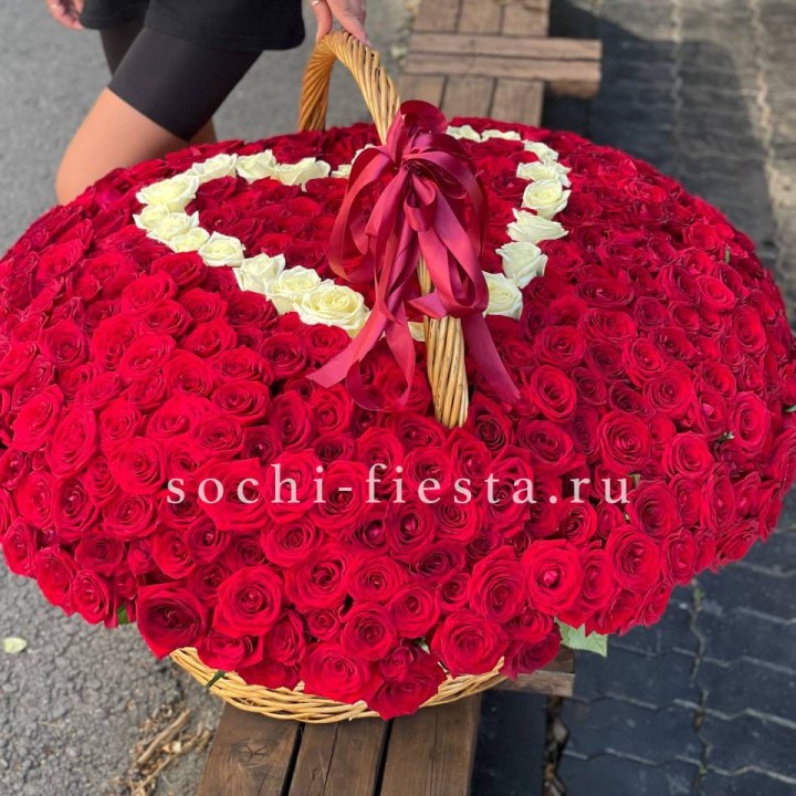 505 роз в Хосте и Кудепсте