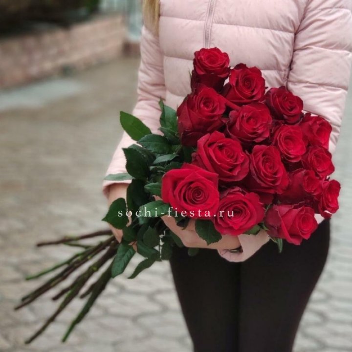 15 высоких красных роз в Хосте и Кудепсте