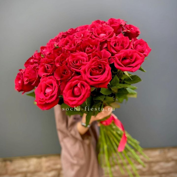 51 высокая красная роза в Хосте и Кудепсте