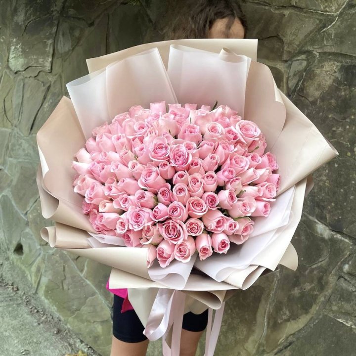 101 нежно-розовая роза Karolina  в Хосте и Кудепсте