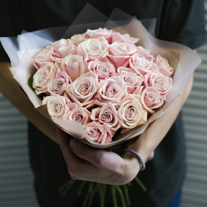 27 кремовых роз в Хосте и Кудепсте