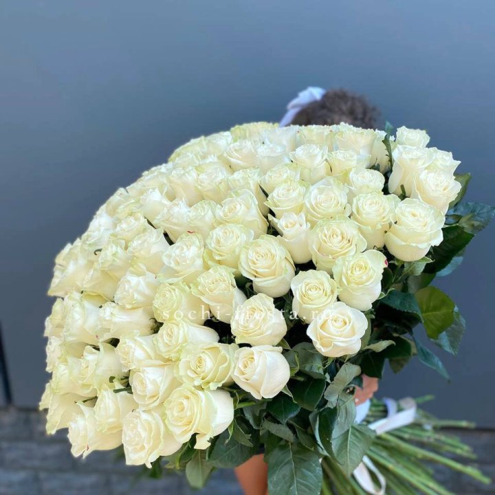 101 белая высокая роза в Хосте и Кудепсте