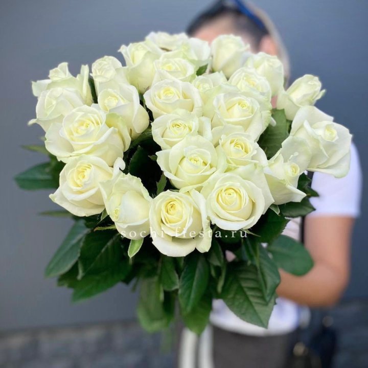 Голландские розы White 25 с доставкой в Хосте и Кудепсте