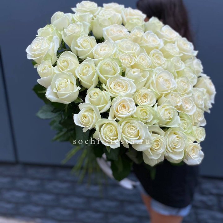 51 белоснежная высокая роза с доставкой в Хосте и Кудепсте