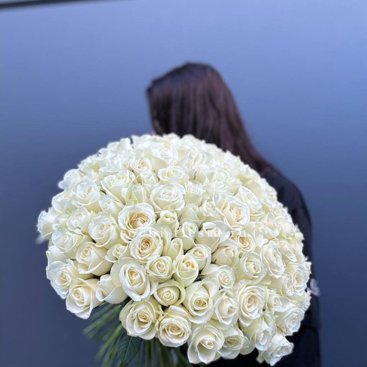 Охапка из 101 белой розы  с доставкой в Хосте и Кудепсте