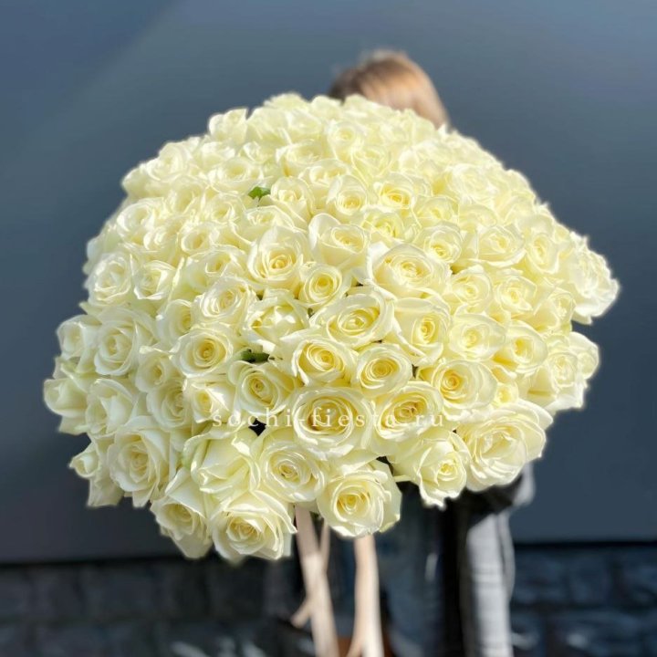 Букет  из 101 белой розы  в Хосте и Кудепсте